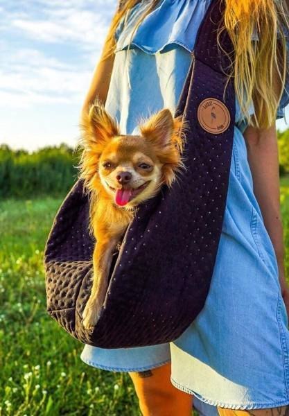 Lauren Design nosidło SARA dla psa i kota fioletowy pikowany