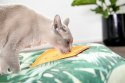 LickiMat Soother pomarańczowa mata dla kota