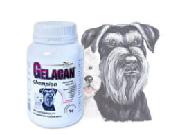 Gelacan Champion Black and White Orling - 150 g