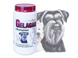 Gelacan Champion Black and White Orling - 500 g
