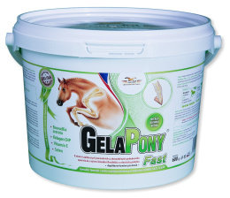 GelaPony Fast 0,6 kg