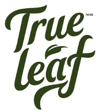 true leaf